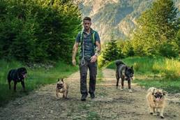 Ein Bild, das draußen, Wandern, Baum, Gras enthält.

Automatisch generierte Beschreibung